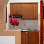Aparthotel Irene Patmos 3*