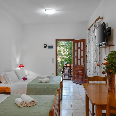 Aparthotel Irene Patmos 3*