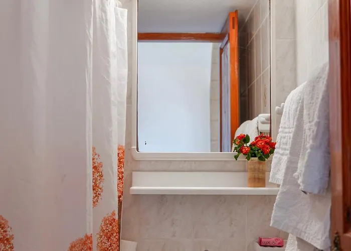 Aparthotel Irene Patmos