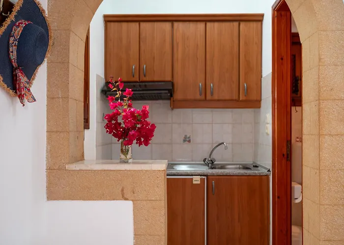 شقة فندقية Irene Patmos 3*