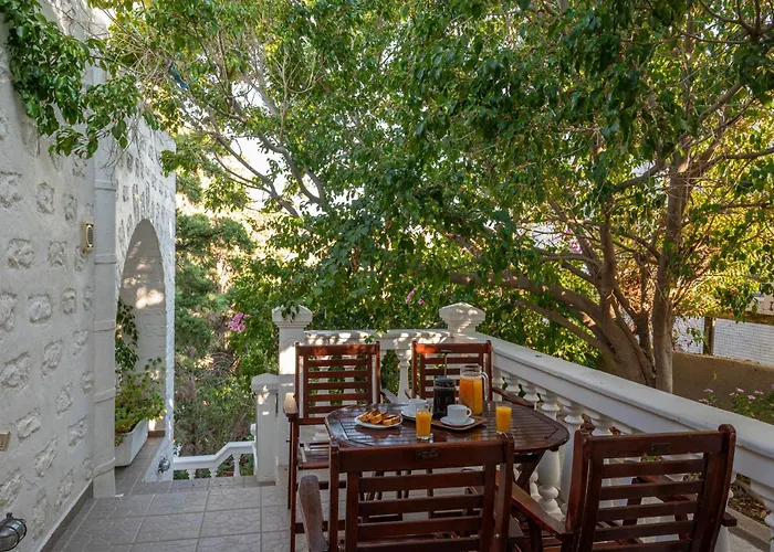 شقة فندقية Irene Patmos 3*